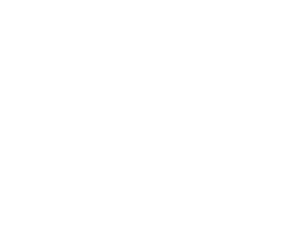 SwivelSecure