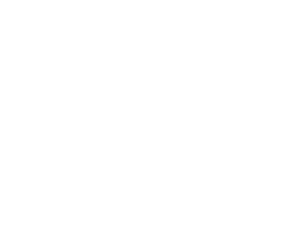 Joe Security