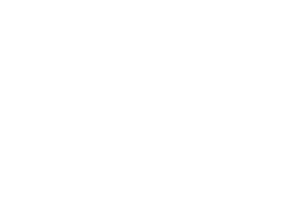 Skyhigh Security