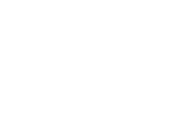 SecureFlag