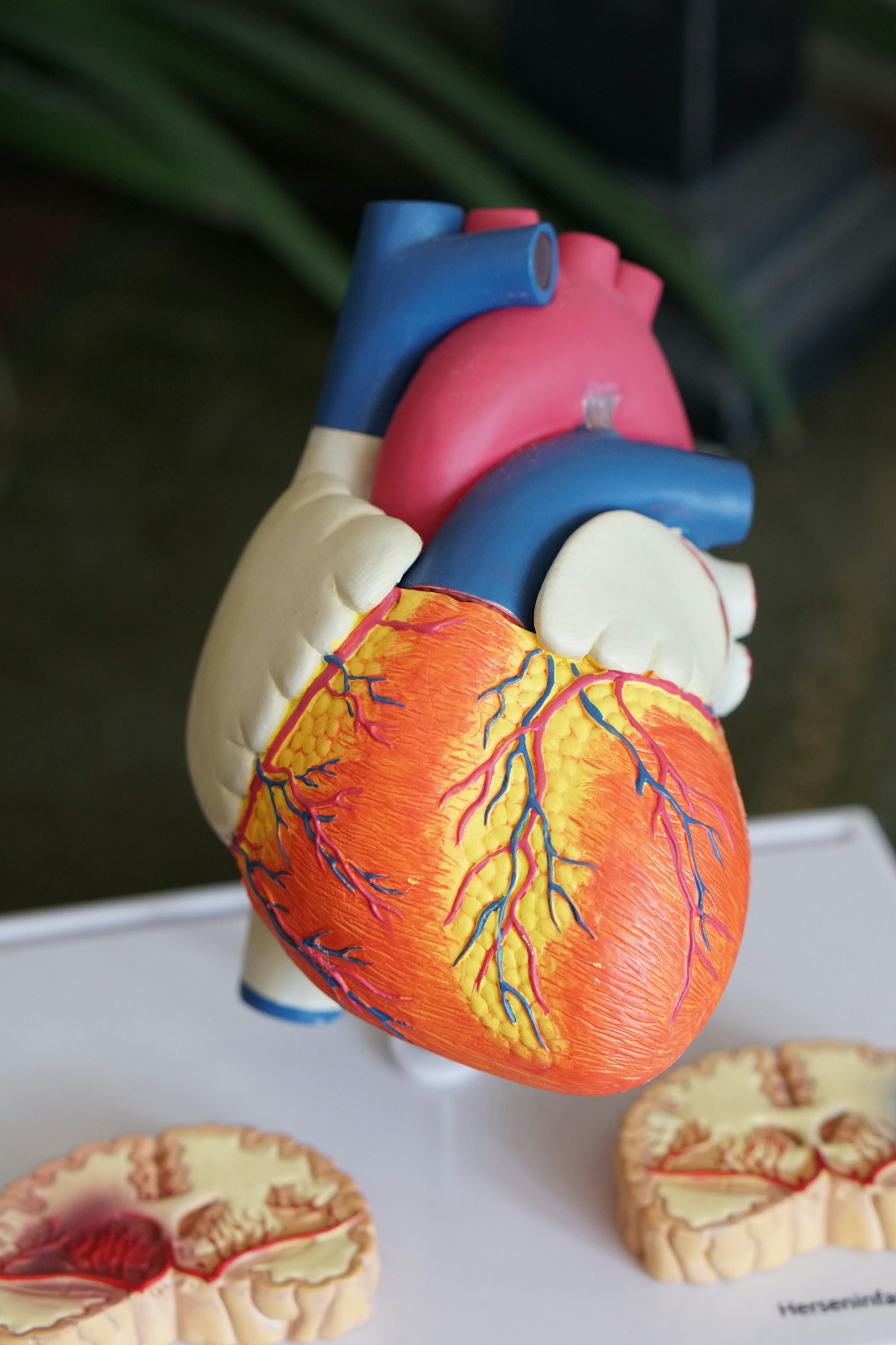 Medical technology and digital health